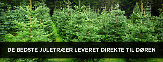 Disse tre ting er vigtige at få styr på inden jul